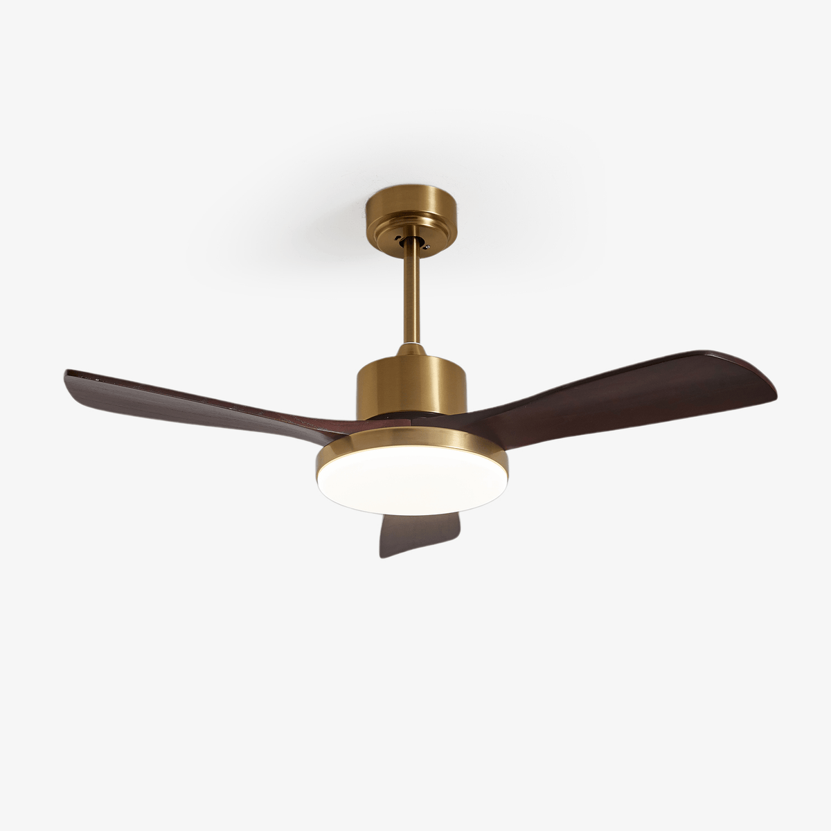Ventilador de techo Moraela