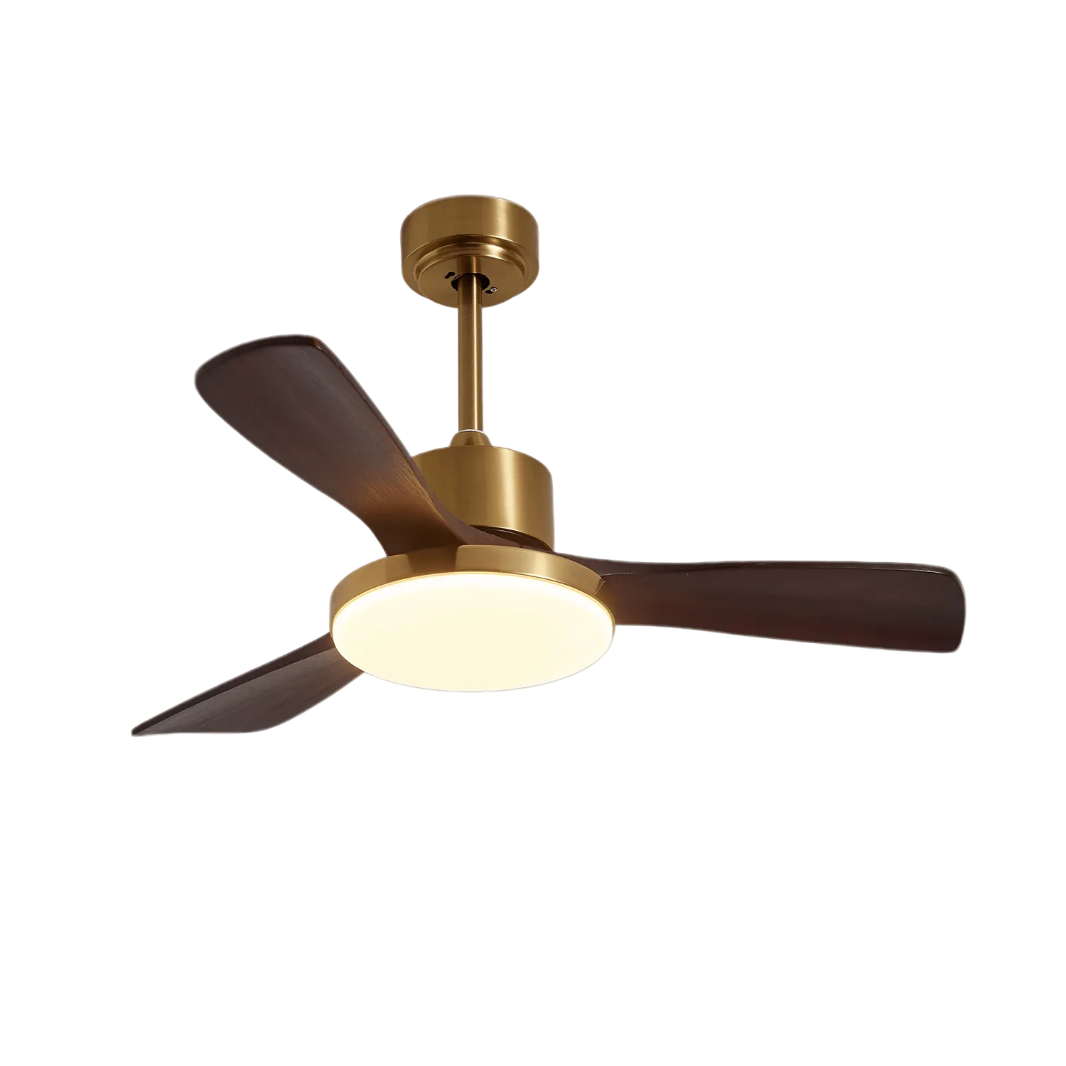 Ventilador de techo Cruzel