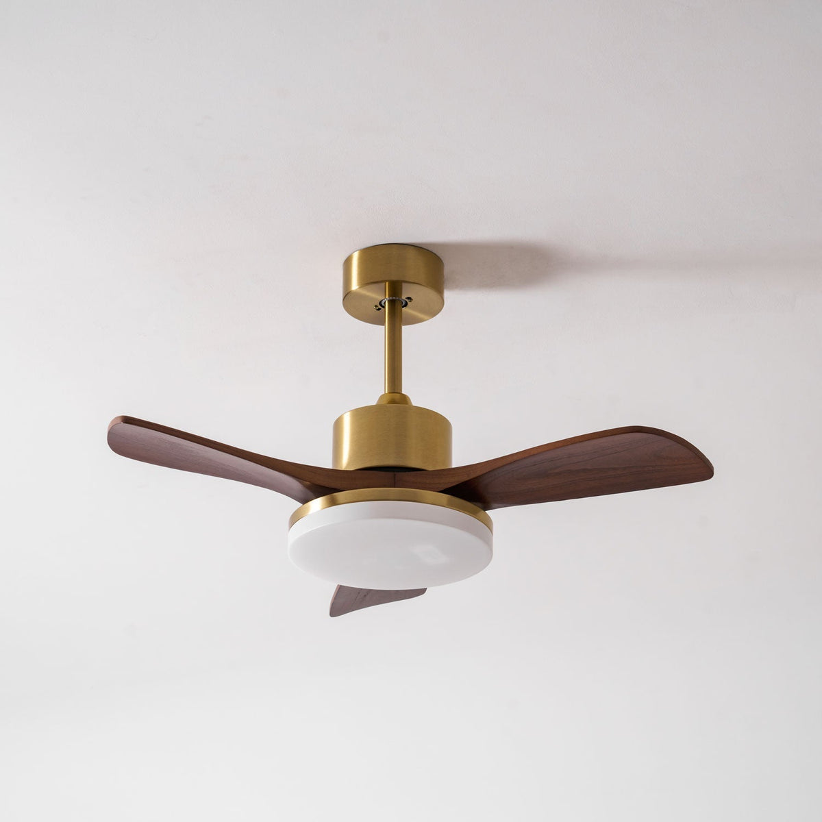 Ventilador de techo Moraela