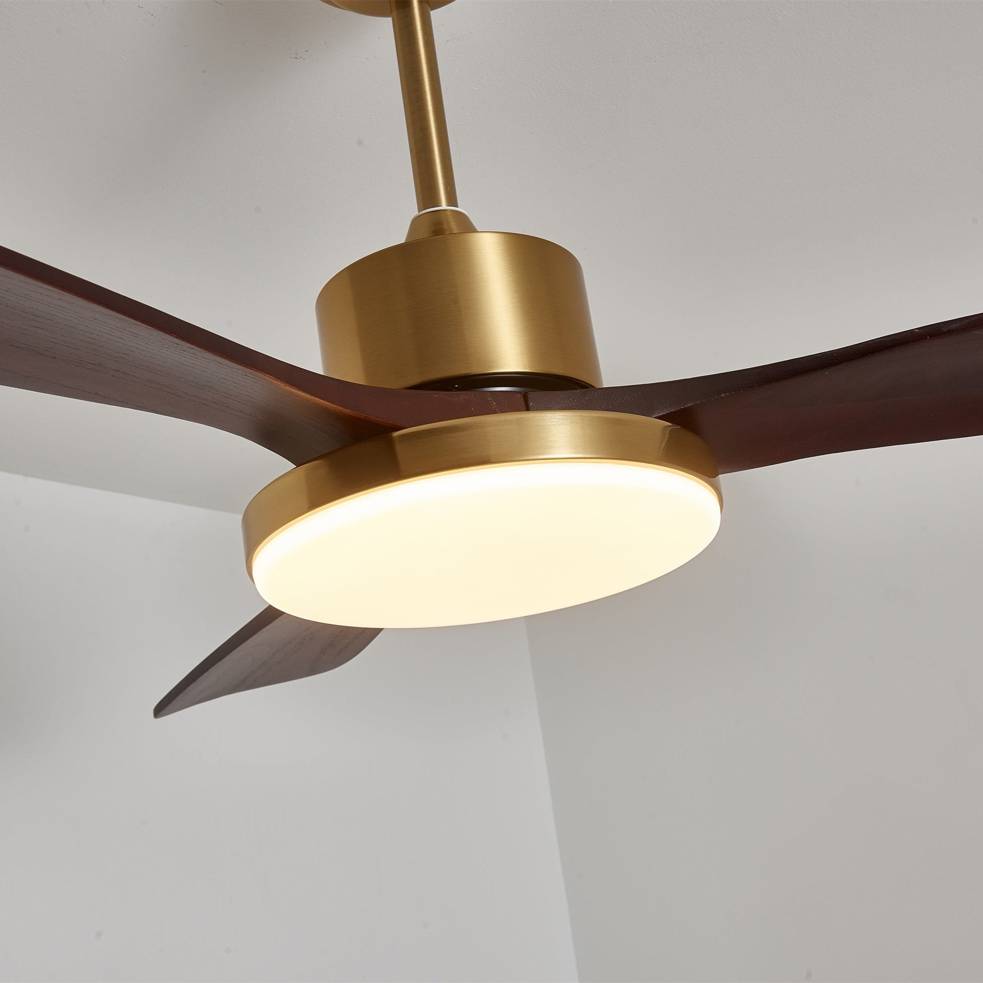 Ventilador de techo Cruzel