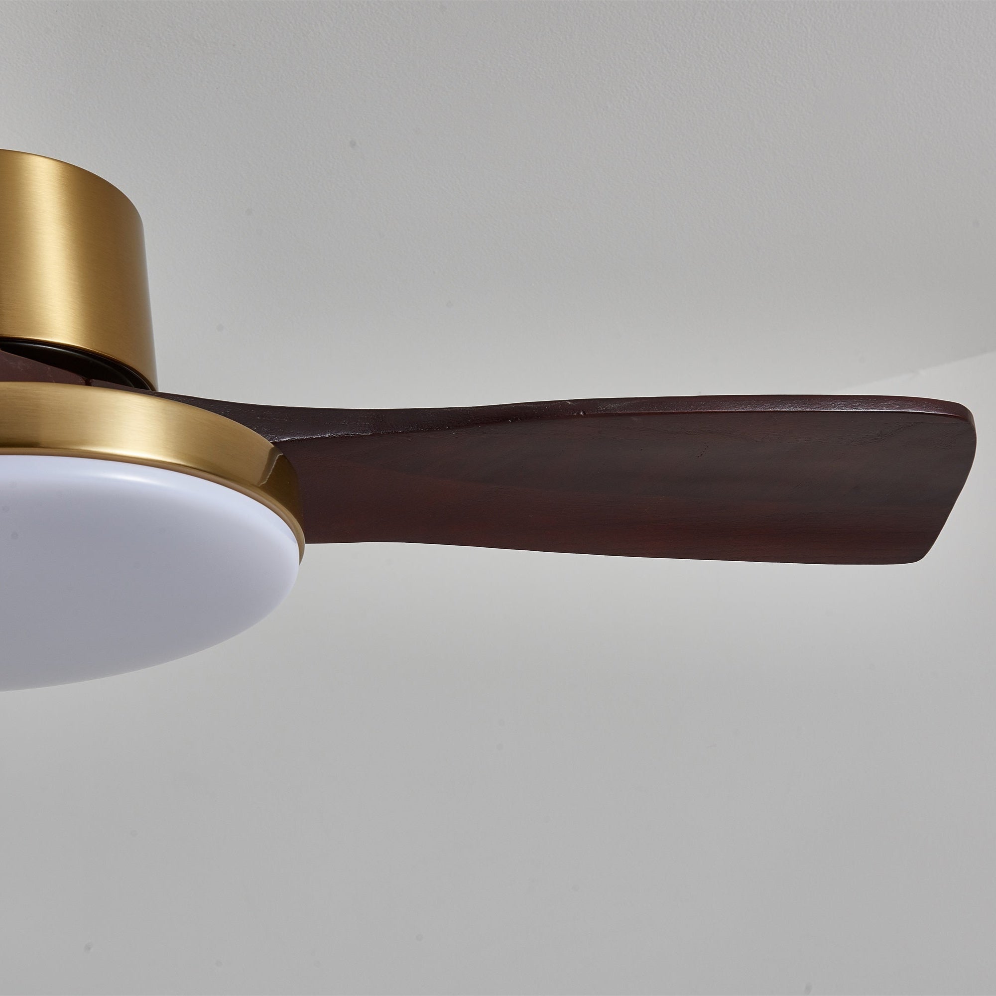 Ventilador de techo Cruzel