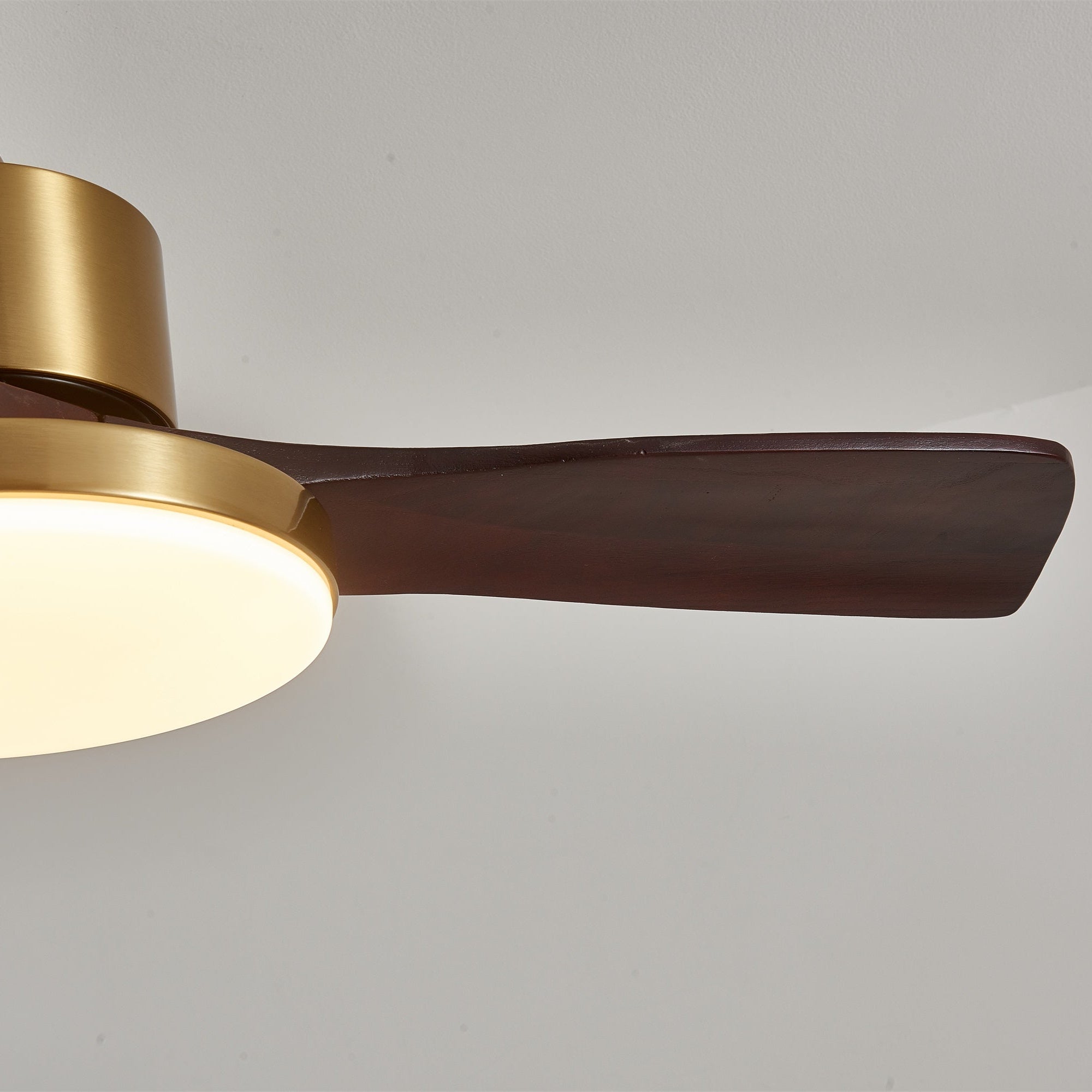 Ventilador de techo Cruzel