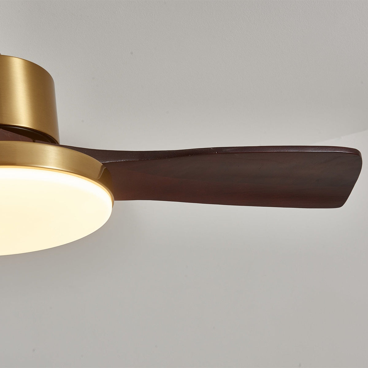 Ventilador de techo Moraela