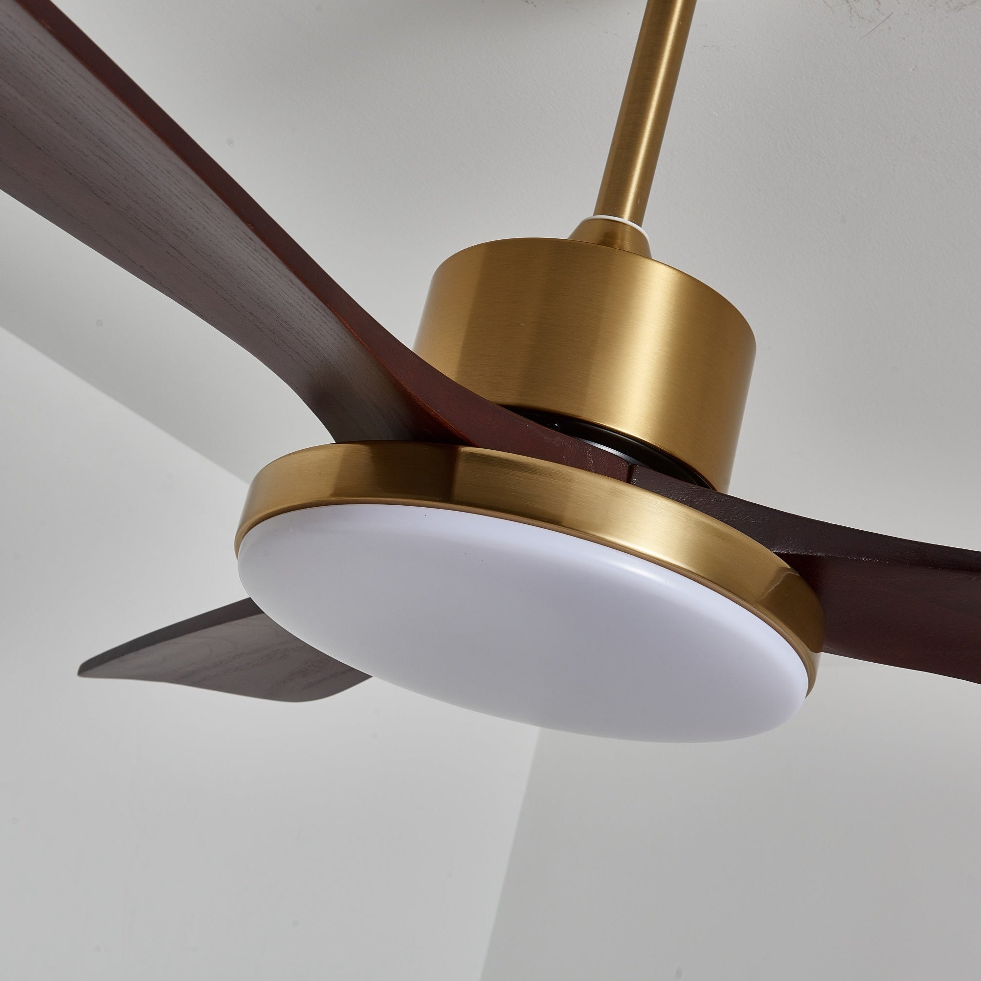 Ventilador de techo Cruzel