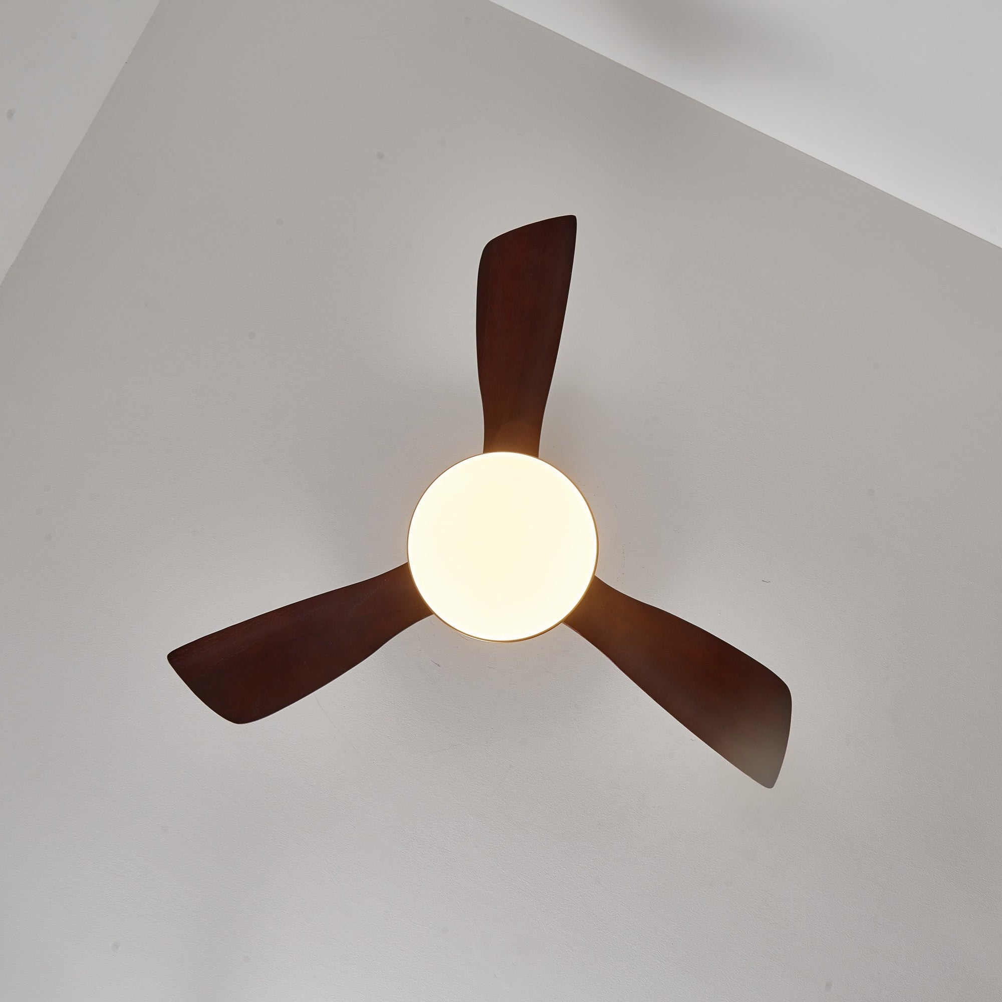 Ventilador de techo Cruzel