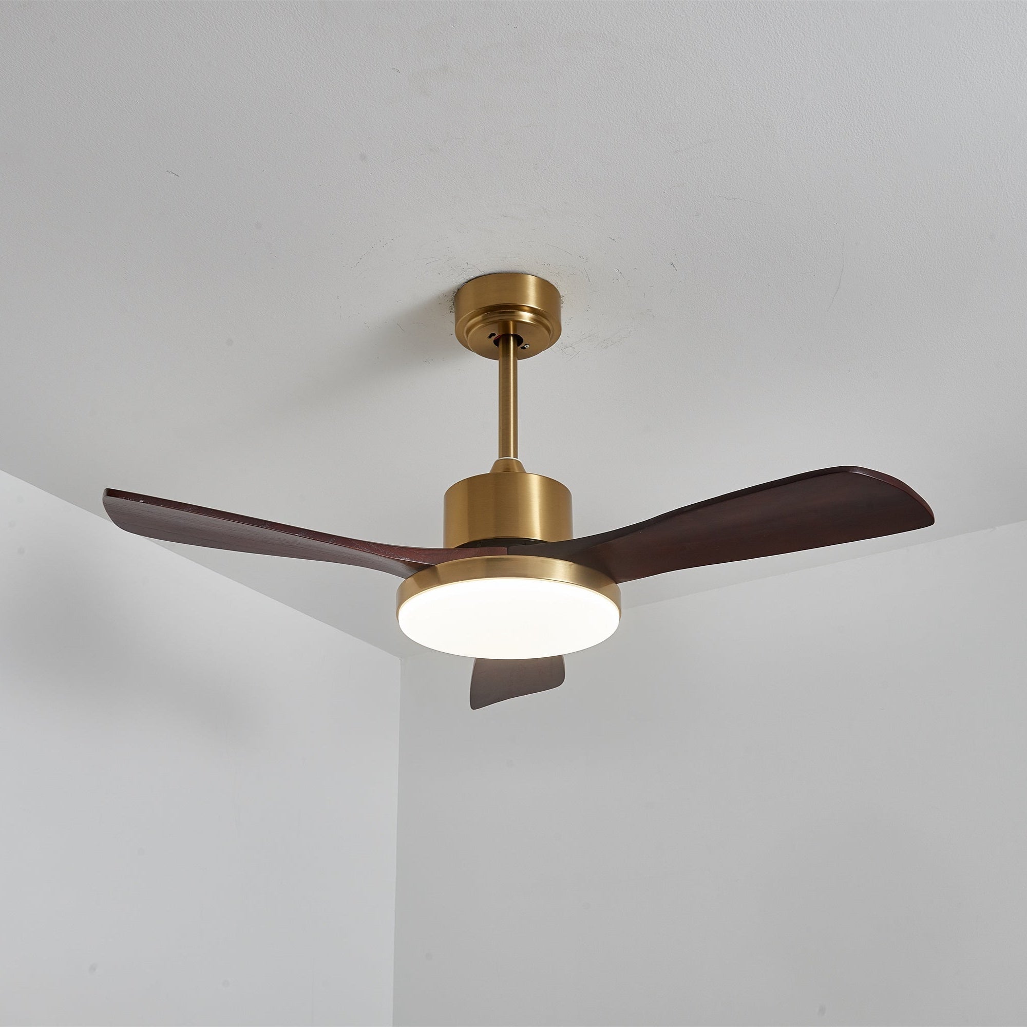 Ventilador de techo Cruzel