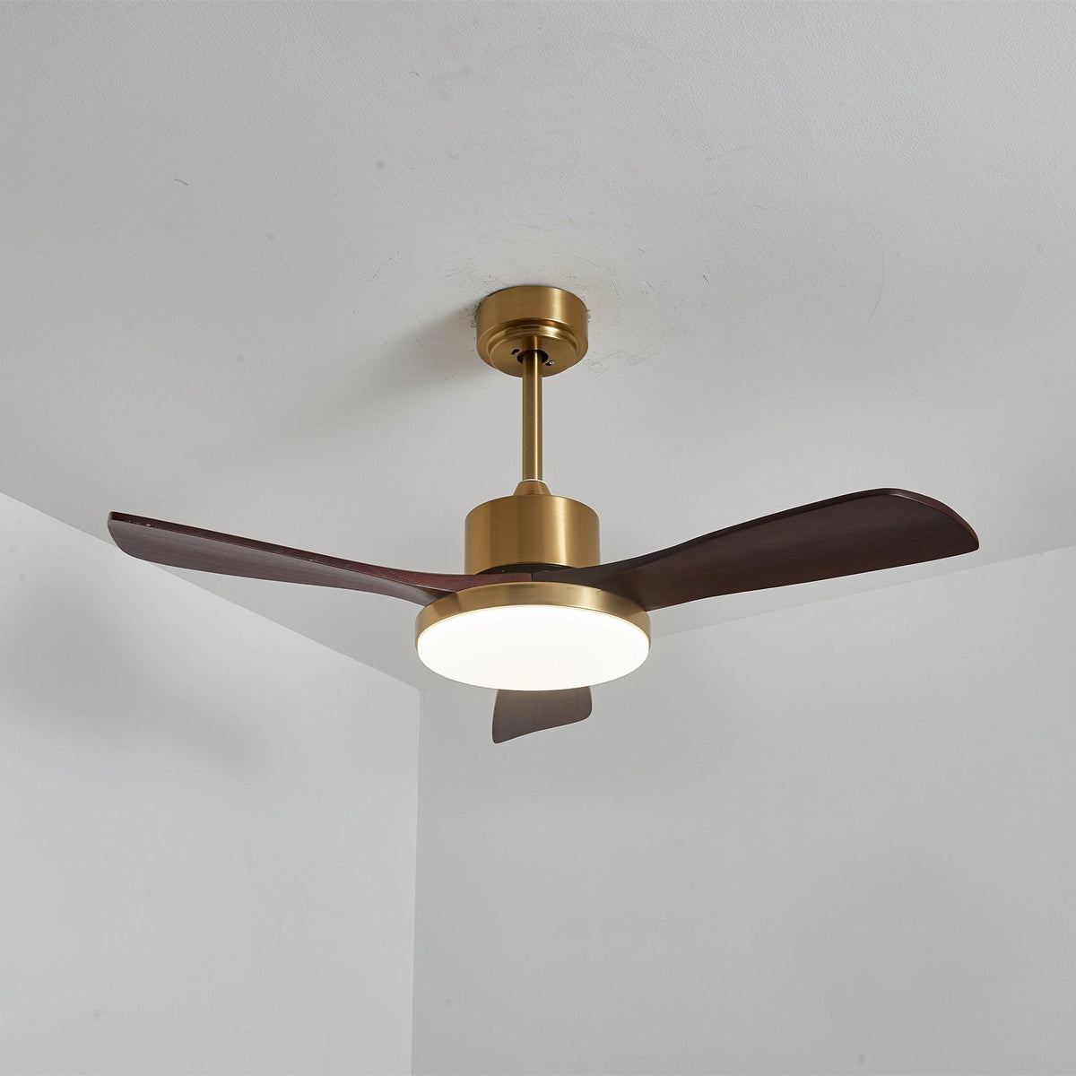 Ventilador de techo Moraela
