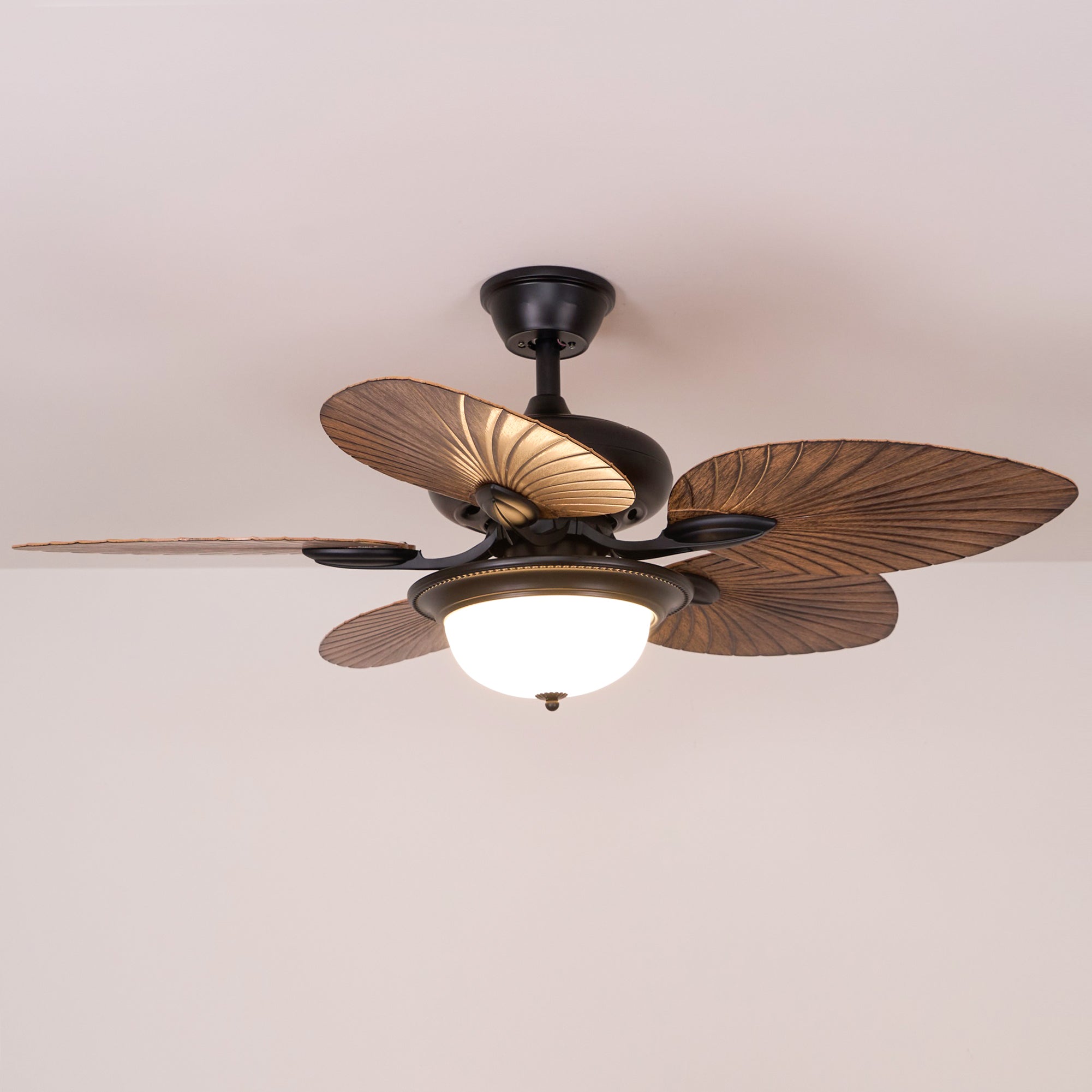 Lámpara con ventilador de techo Soriella