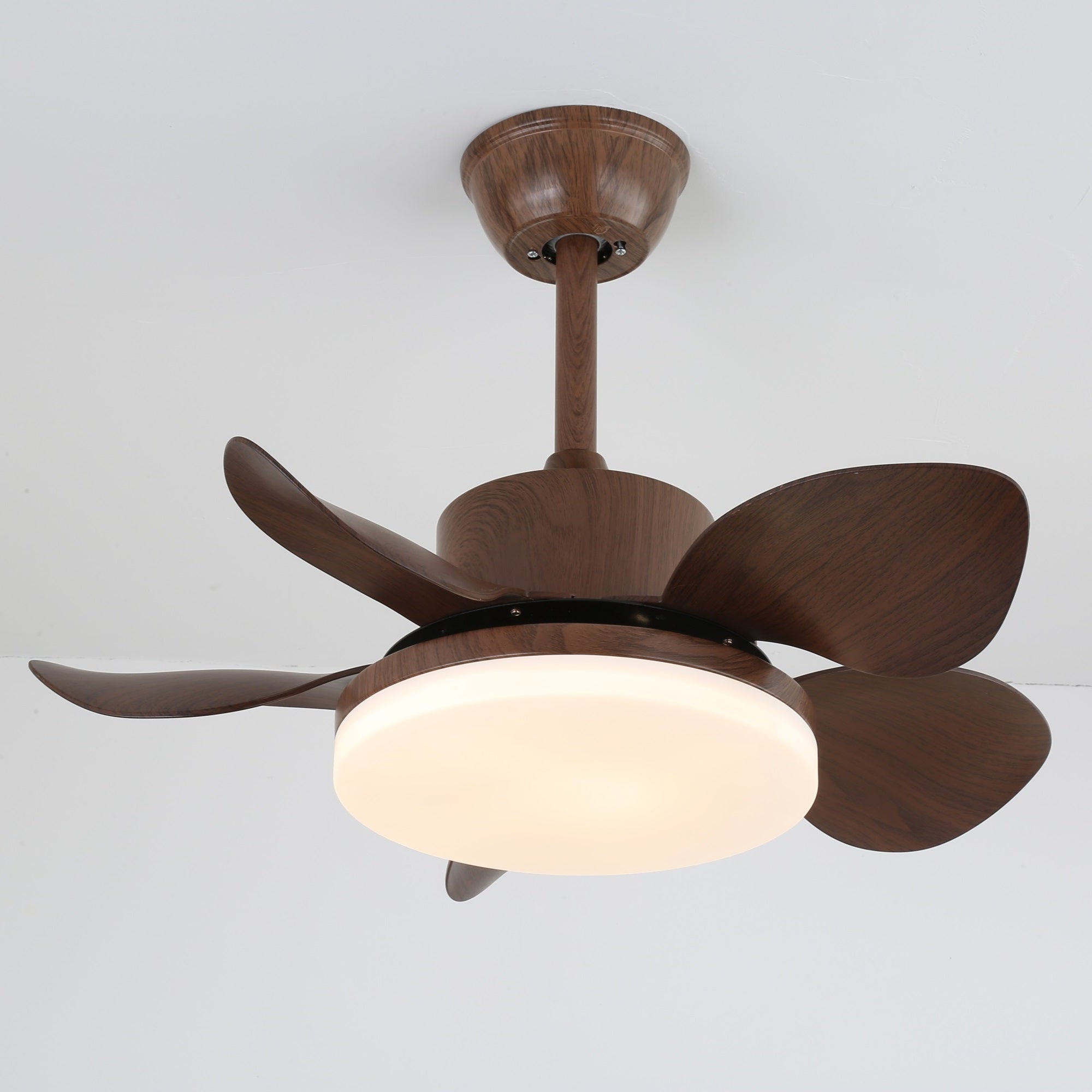 Ventilador de techo Aroaz