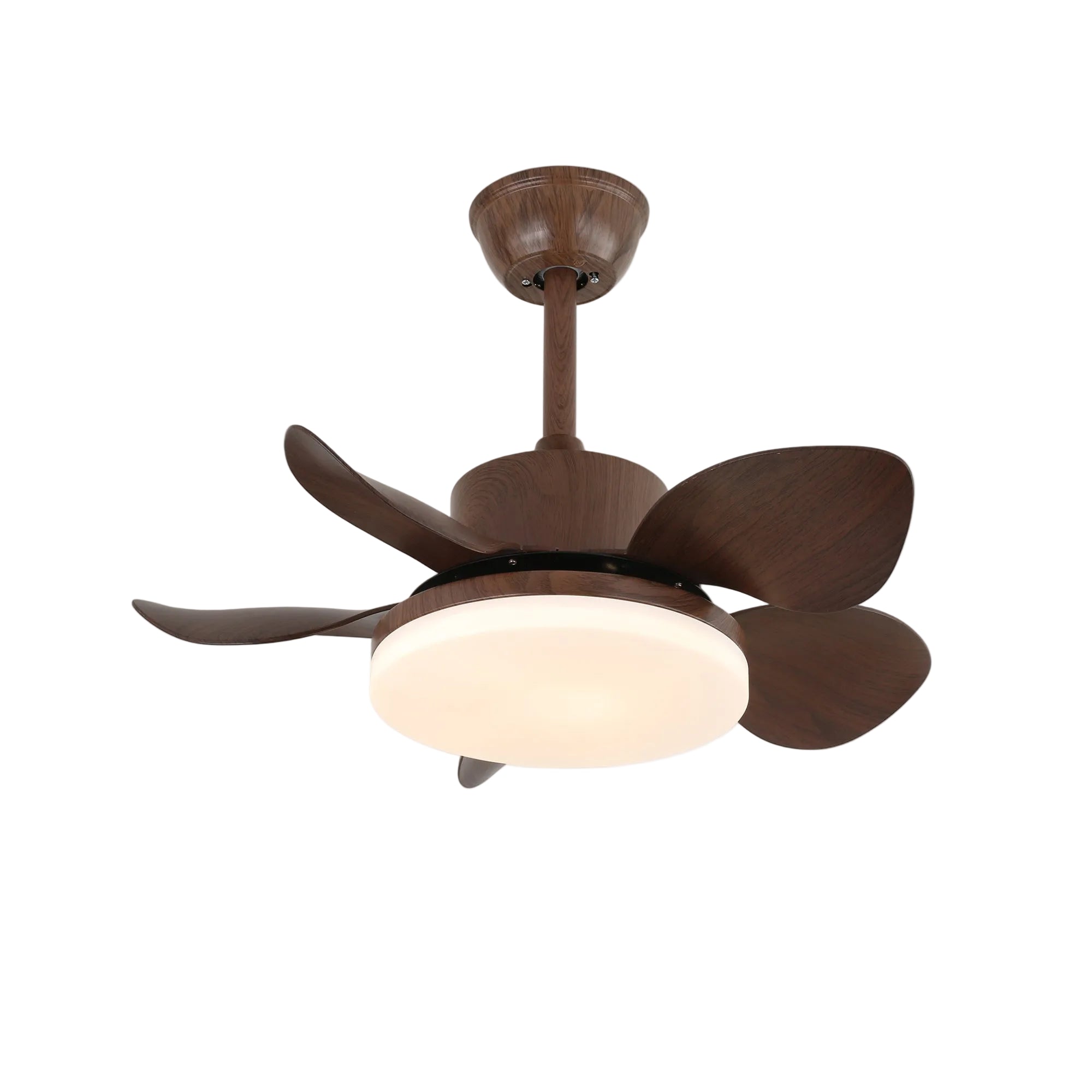 Ventilador de techo Aroaz