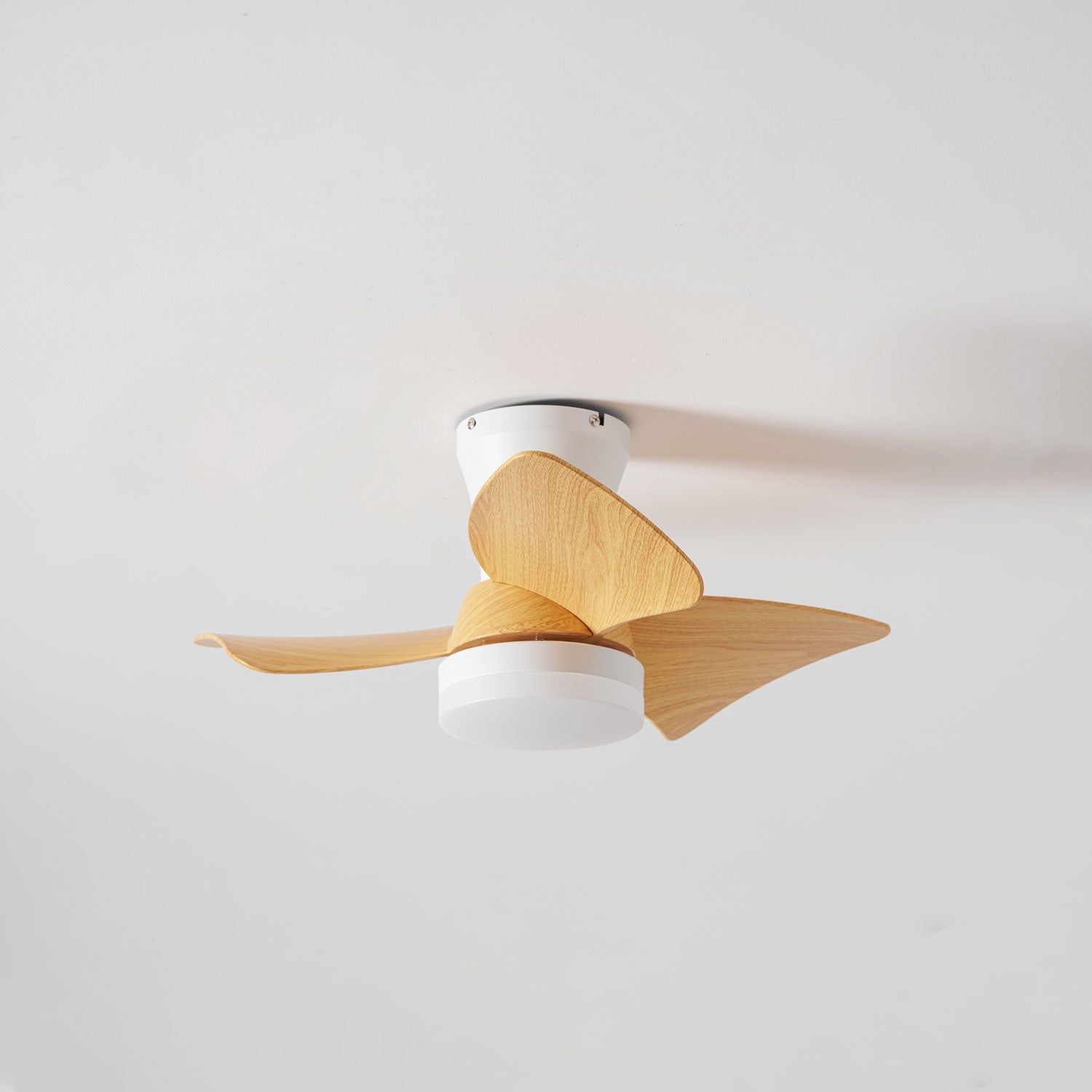 Ventilador de techo Laraina