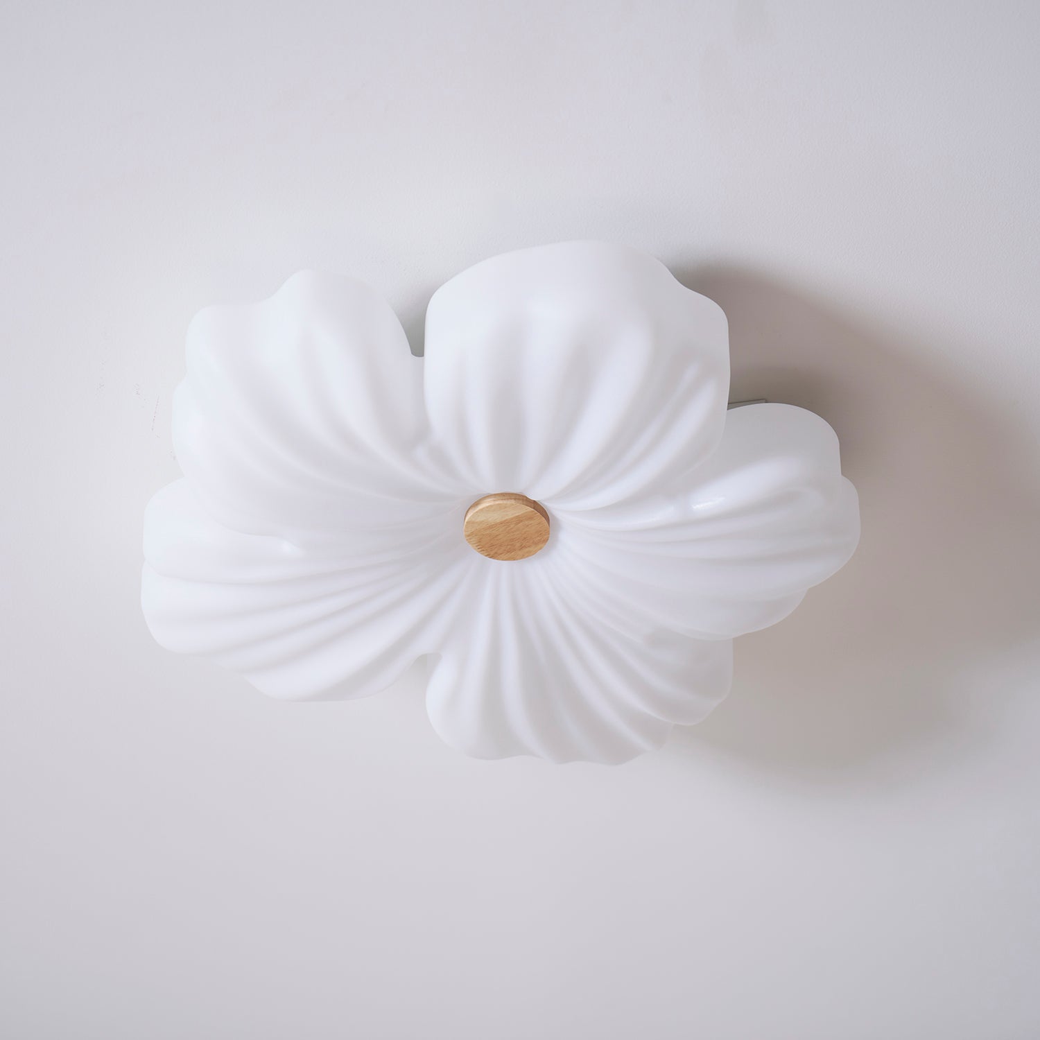 Plafón floral Araara