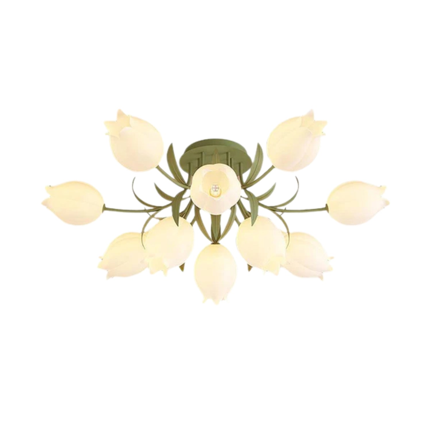 Plafón Maraero