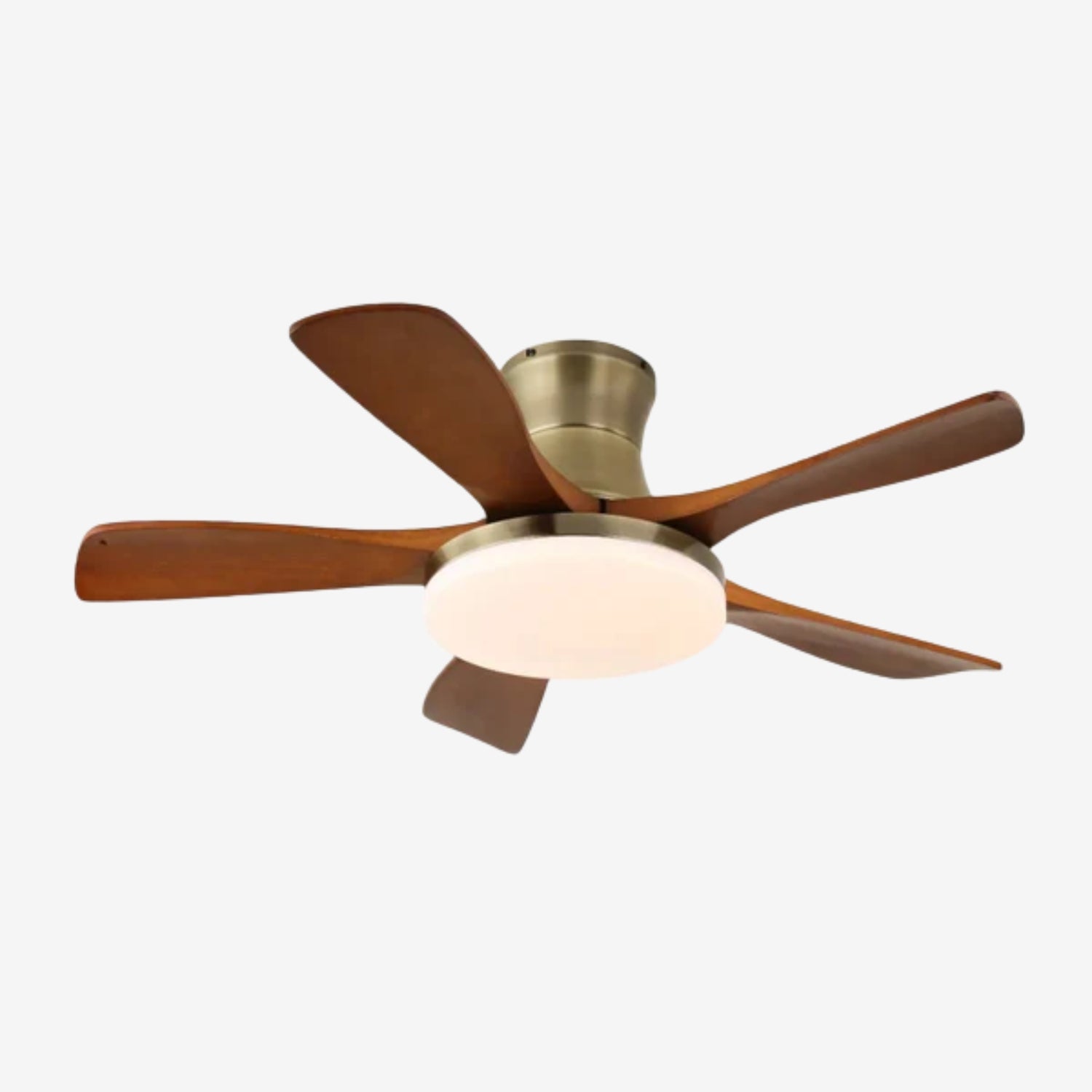 Ventilador de techo Olsoio