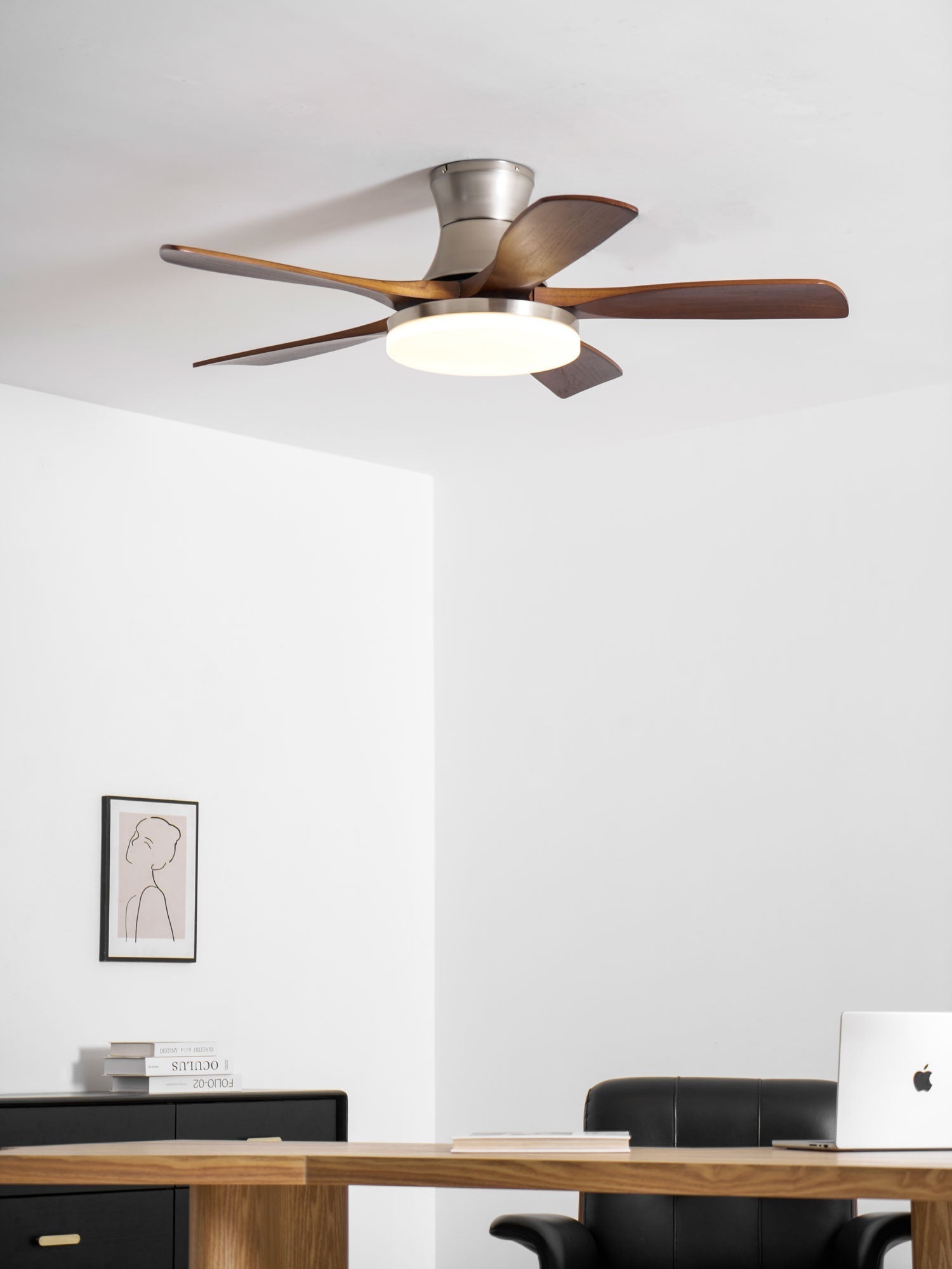 Ventilador de techo Olsoio