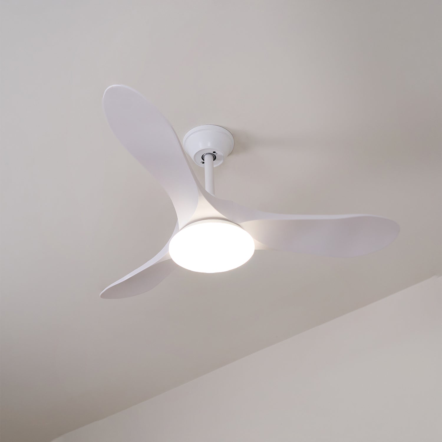Ventilador de techo Nacarea
