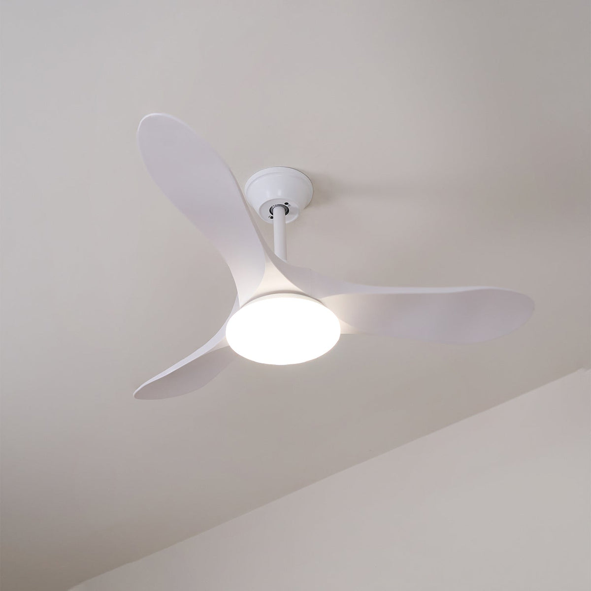 Ventilador de techo Laraena