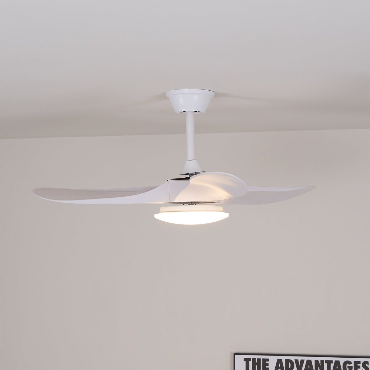 Ventilador de techo Laraena
