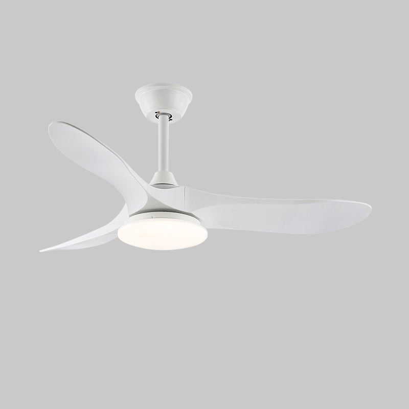 Ventilador de techo Nacarea