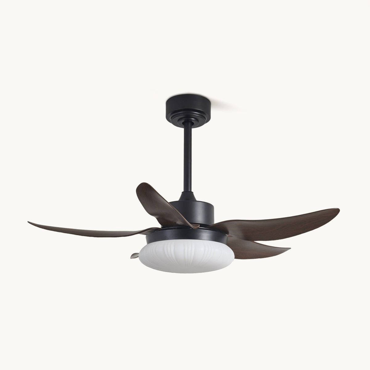 Moasis Ceiling Fan Light