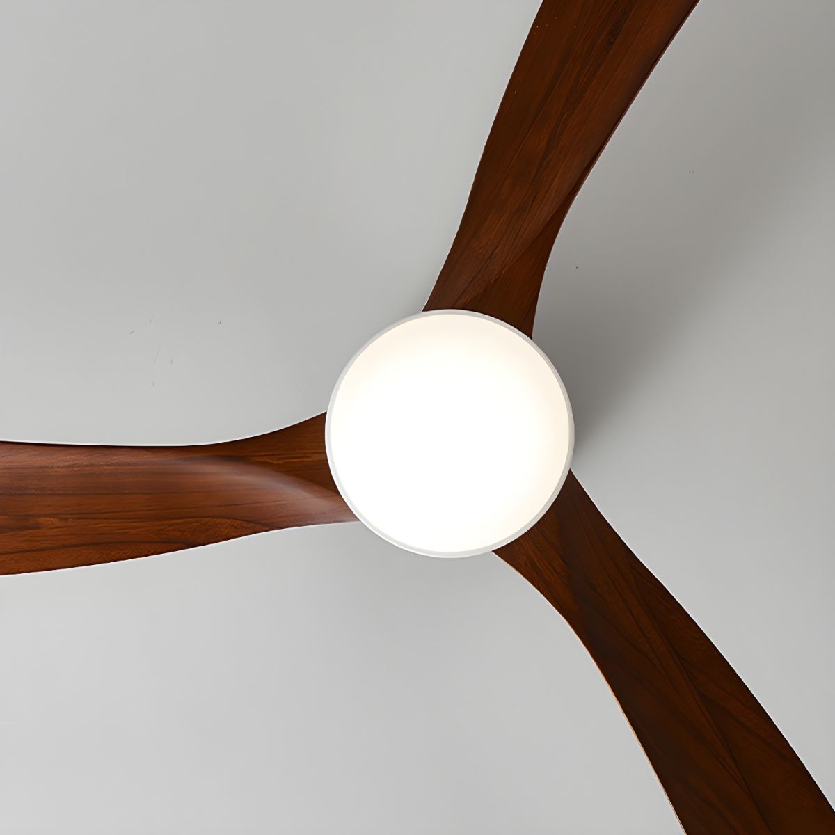 Ventilador de techo LED de madera Looma