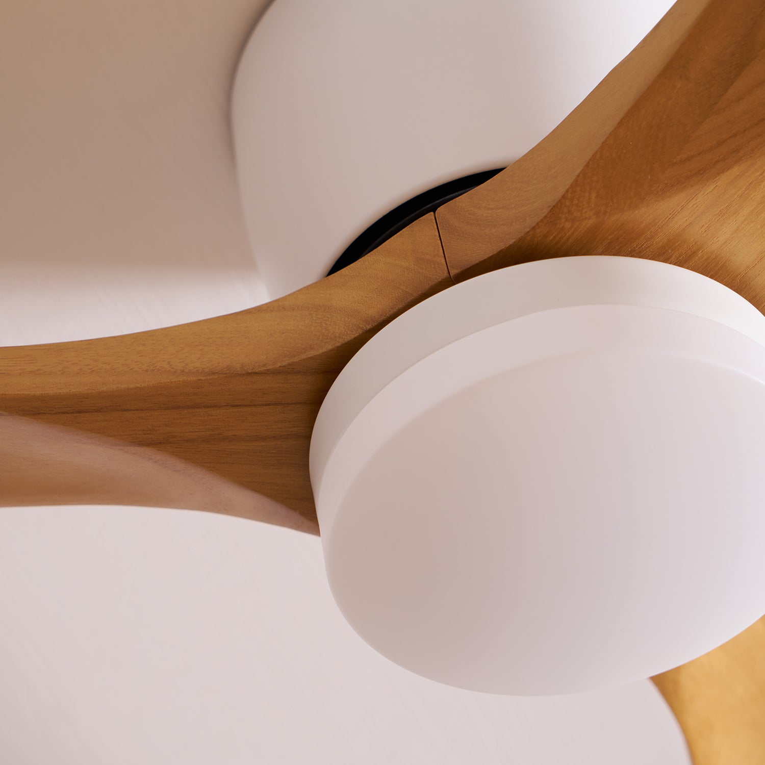 Ventilador de techo LED de madera Looma