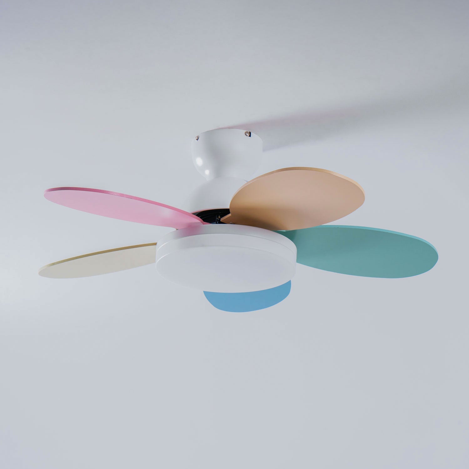 Ventilador de techo Coralero