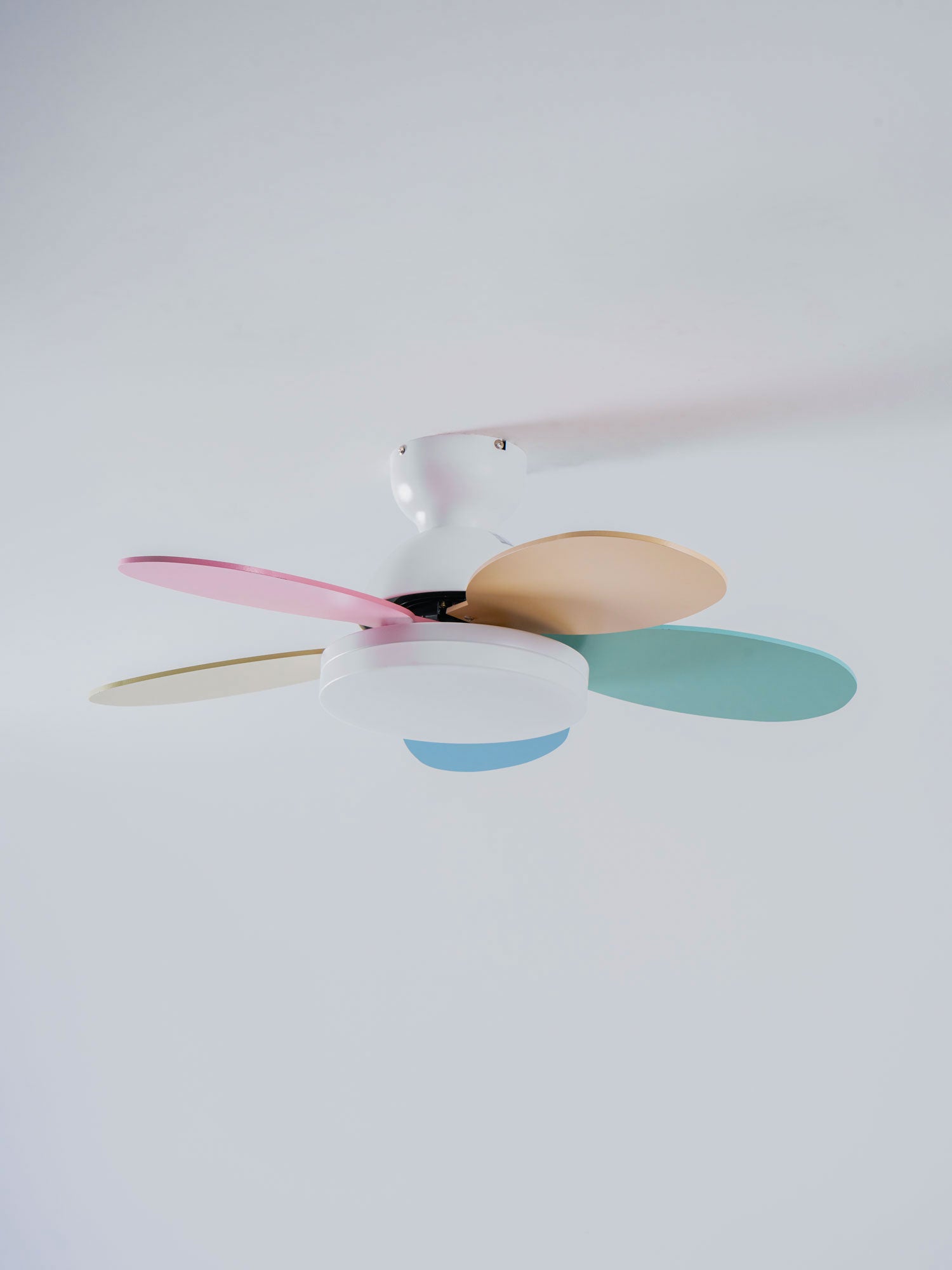 Ventilador de techo Coralero