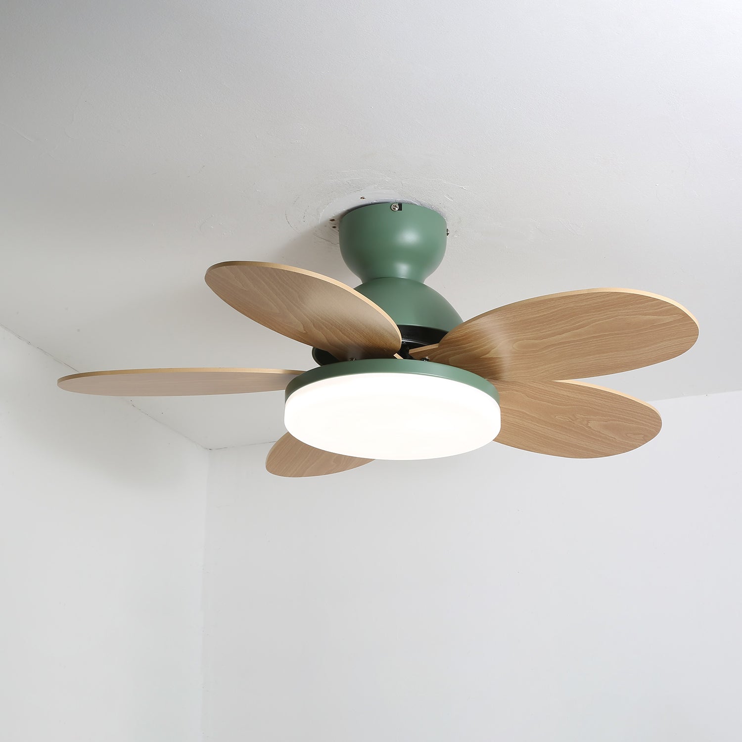 Ventilador de techo Coralero
