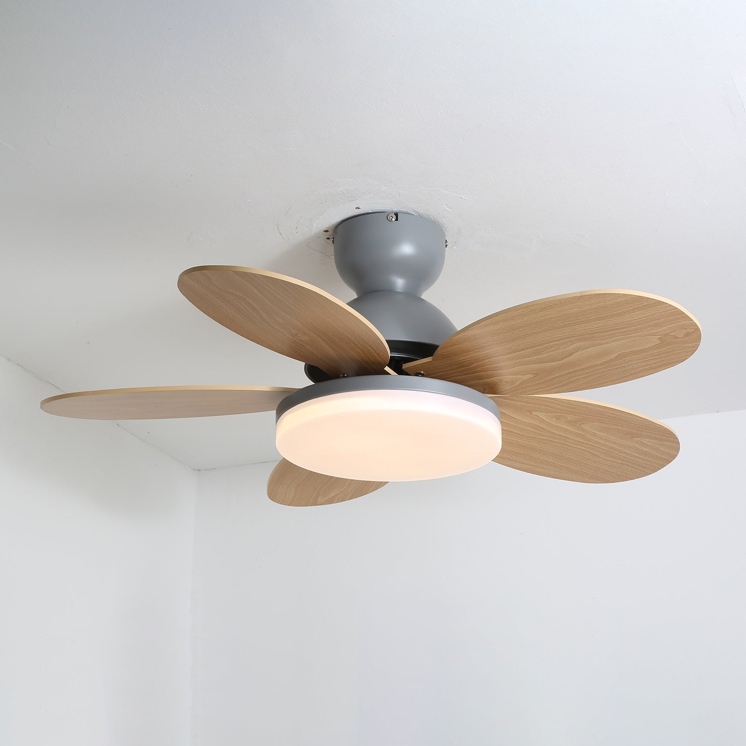 Ventilador de techo Coralero
