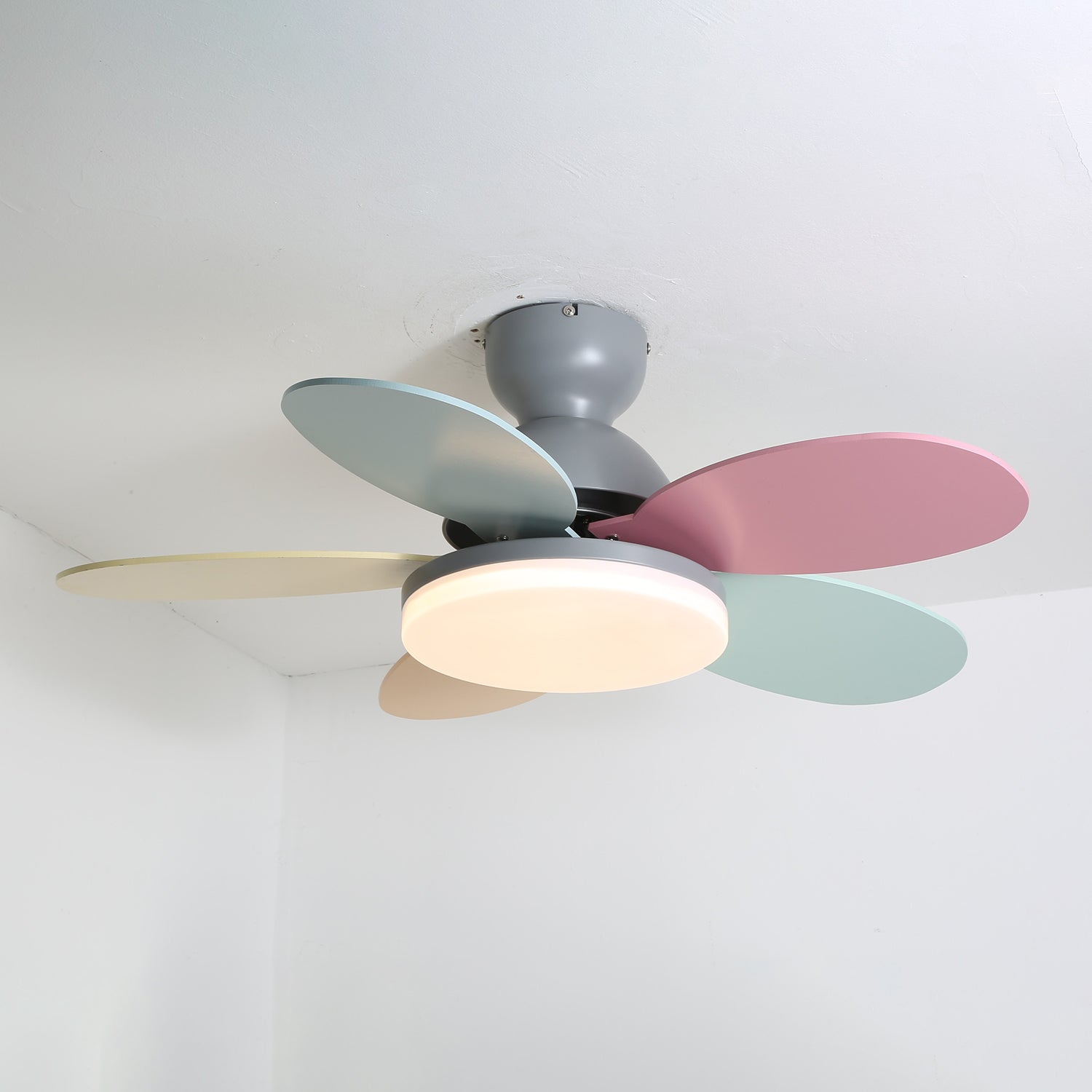 Ventilador de techo Coralero