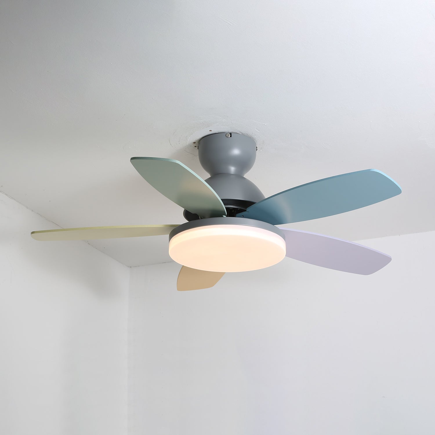 Ventilador de techo Coralero