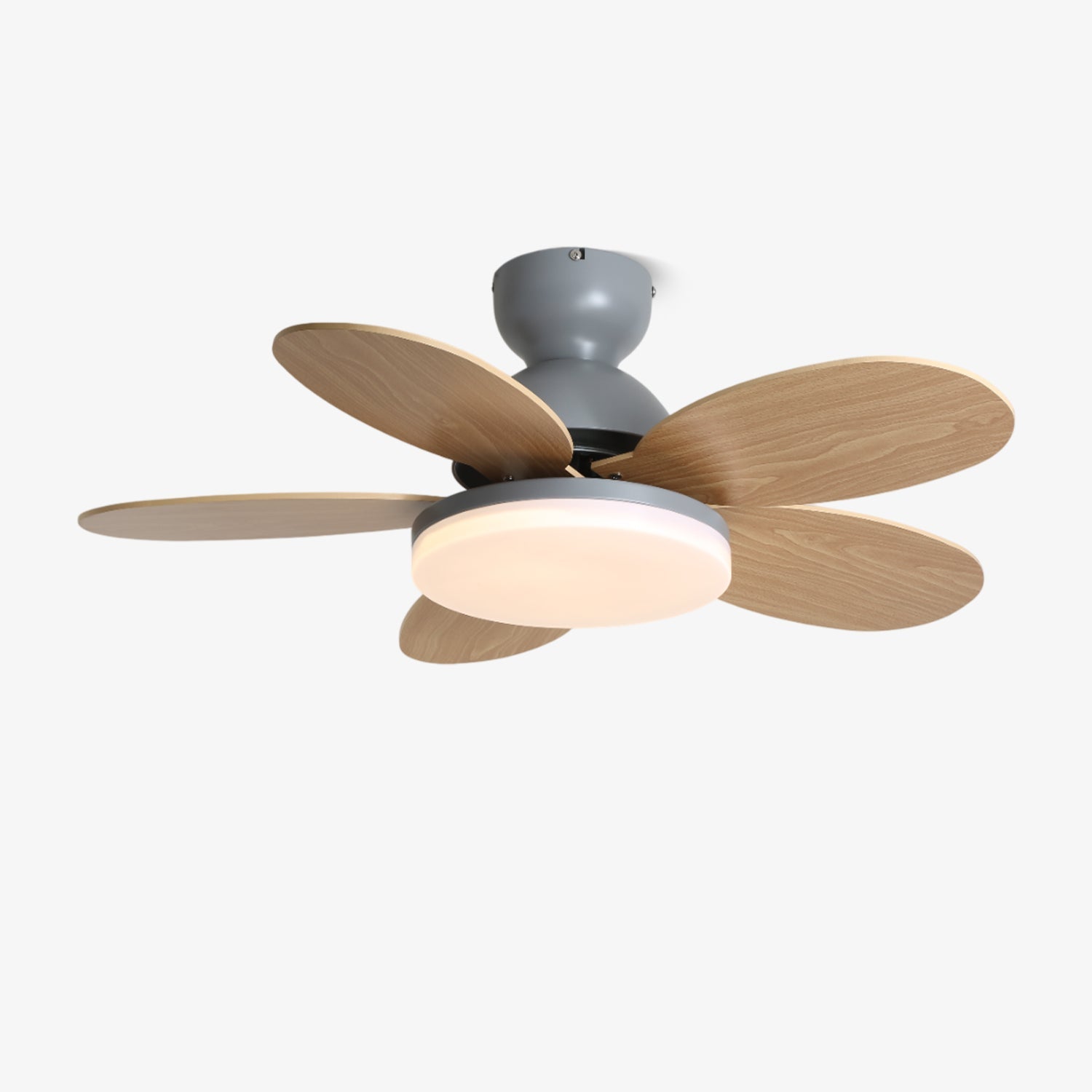 Ventilador de techo Coralero
