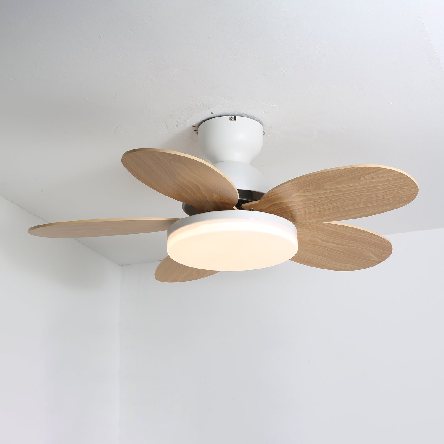 Ventilador de techo Coralero