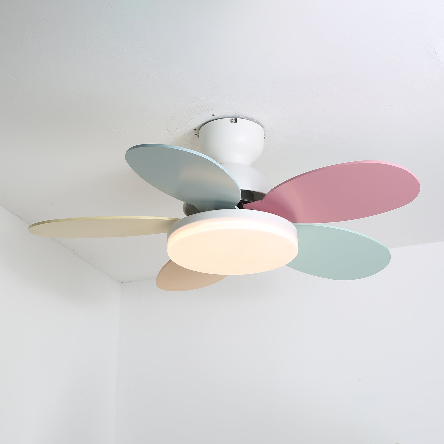 Ventilador de techo Coralero