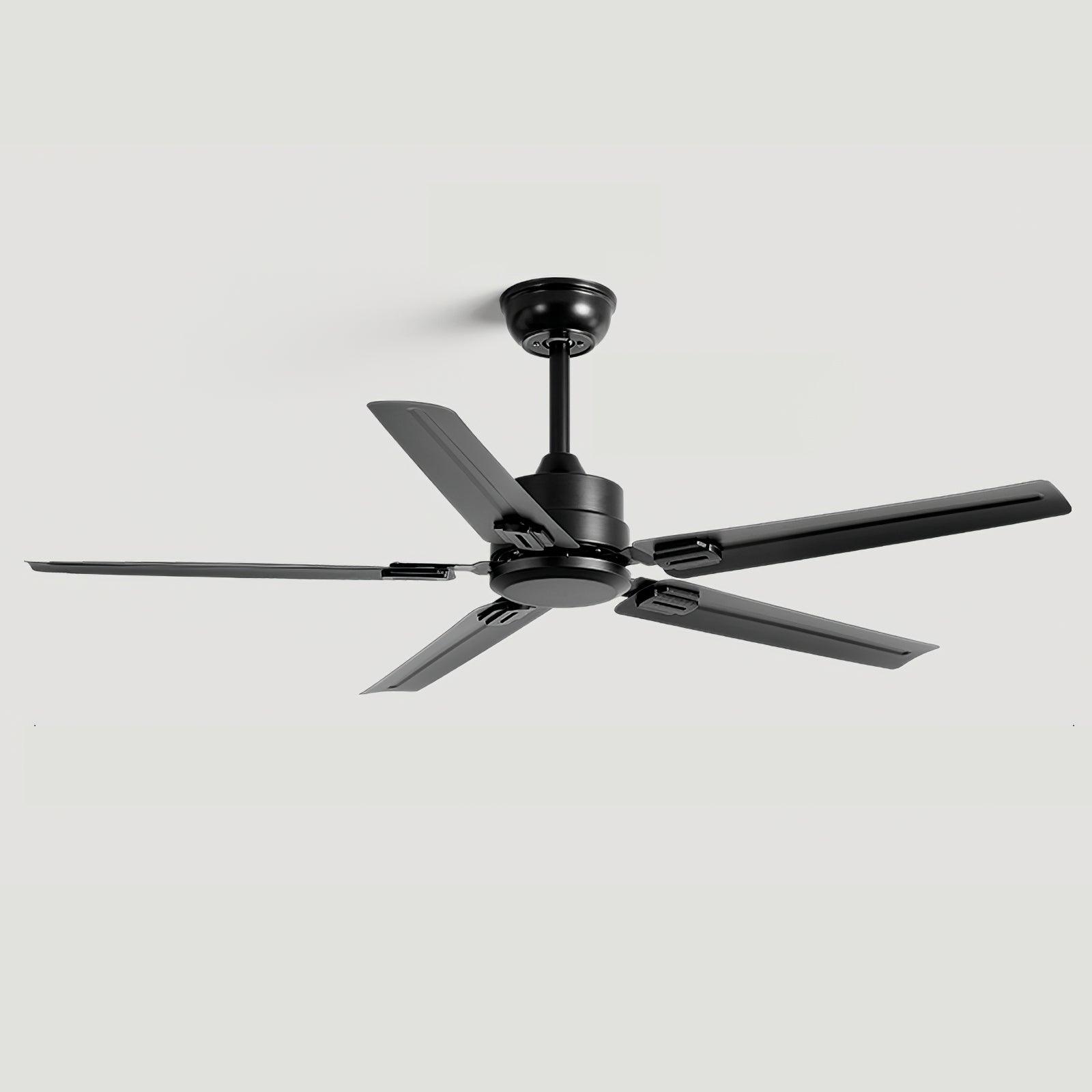 Ventilador de techo Dunailo