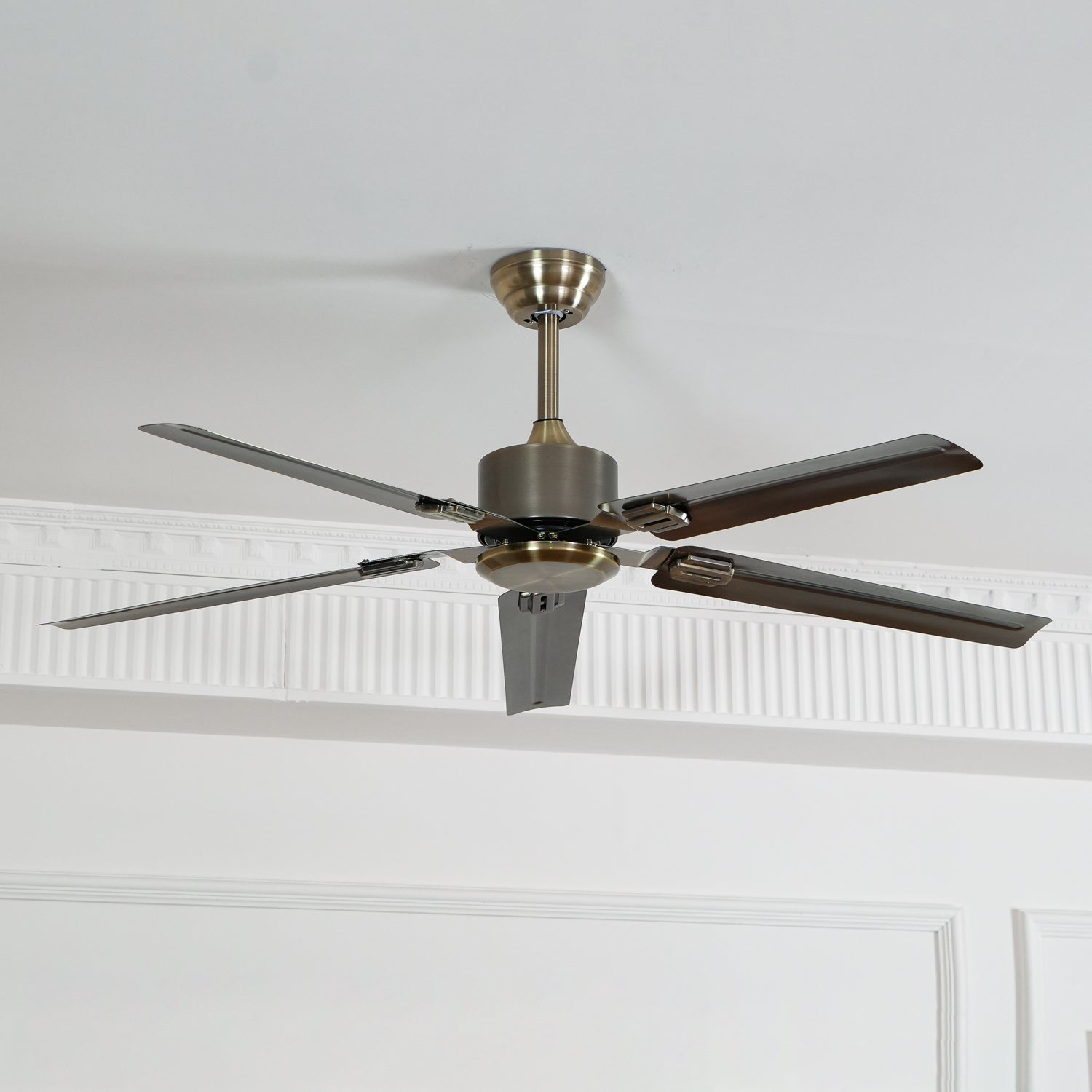 Ventilador de techo Dunailo
