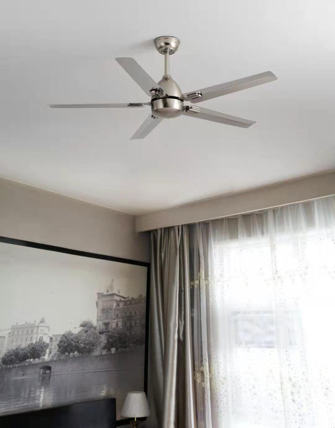 Ventilador de techo Dunailo