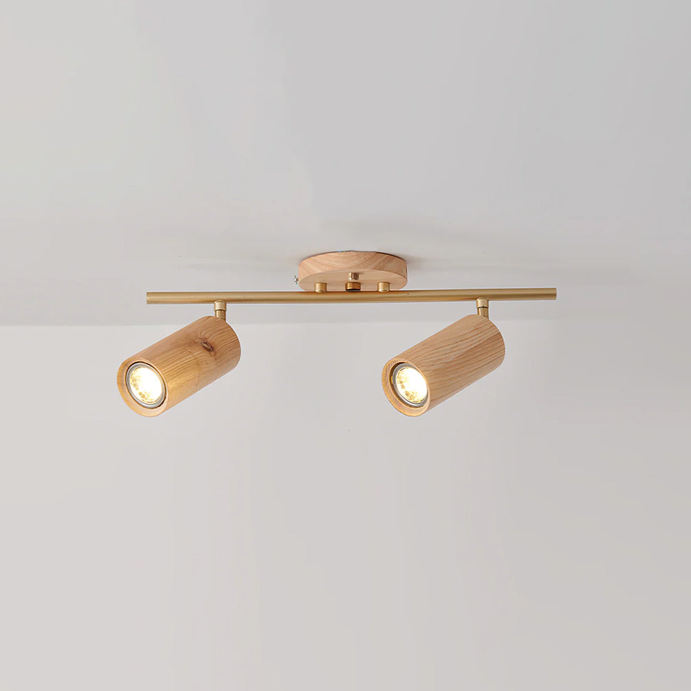 Plafón orientable Levairo