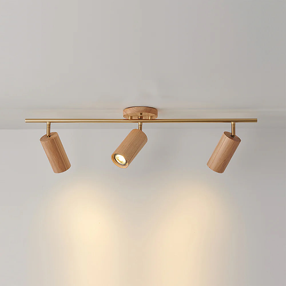 Plafón orientable Levairo