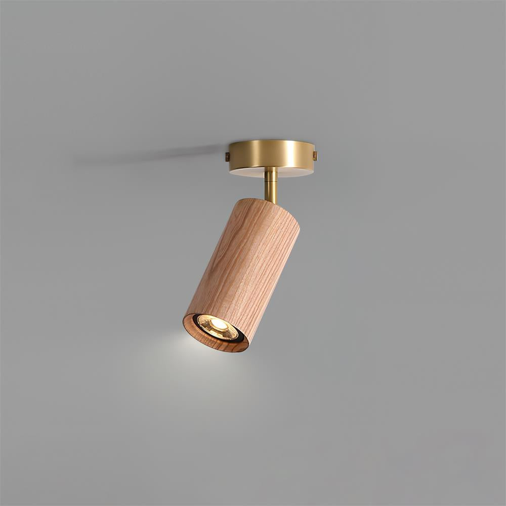 Plafón orientable Brisaara