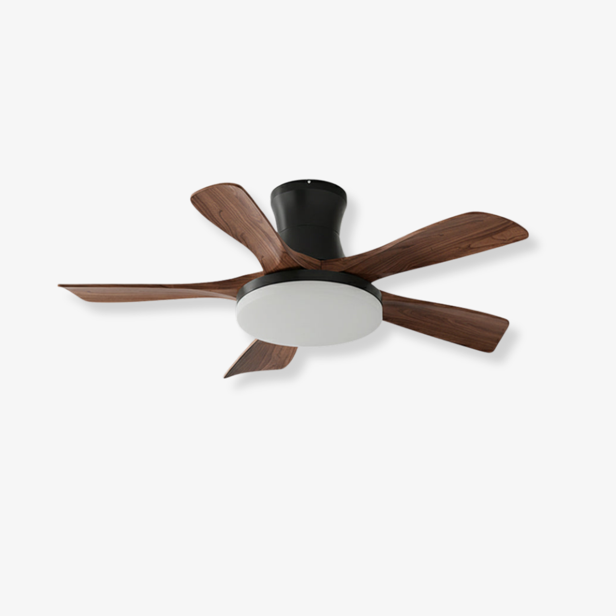 Ventilador de techo Anaisa