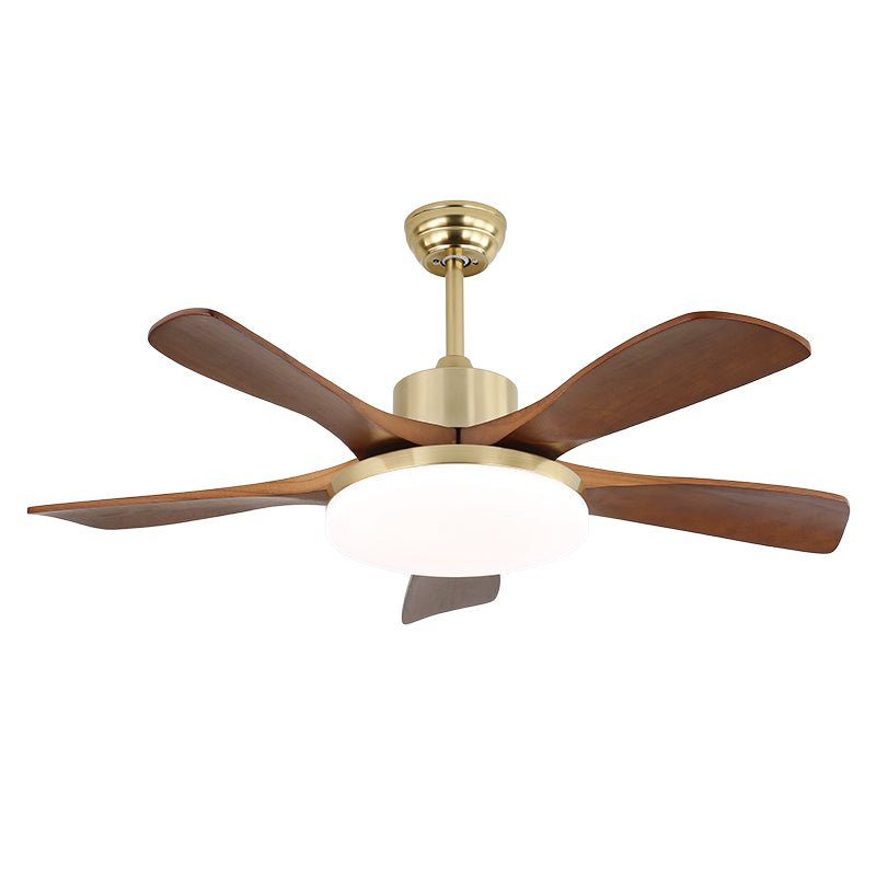 Ventilador de techo Anaolo