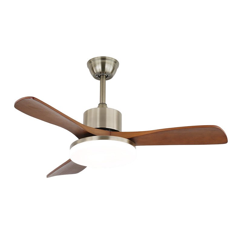 Ventilador de techo Anaolo