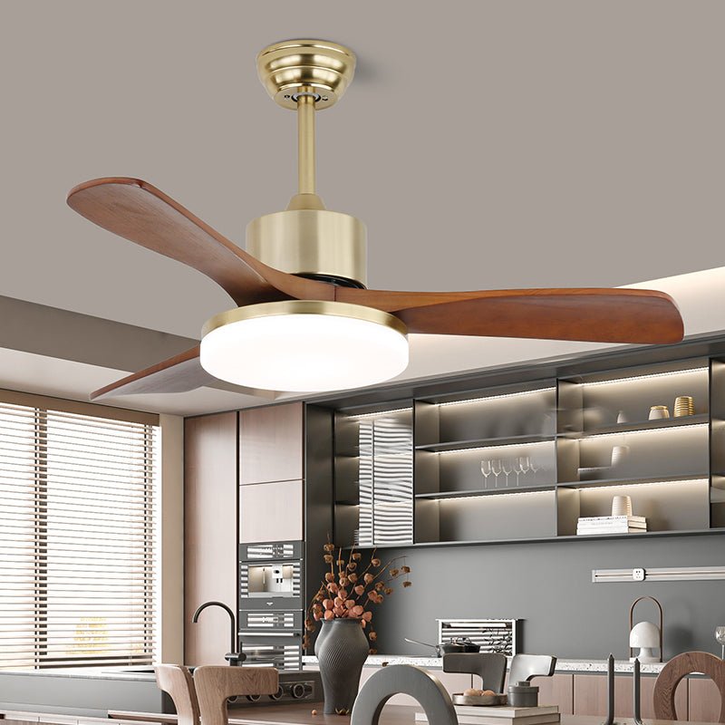 Ventilador de techo Anaolo