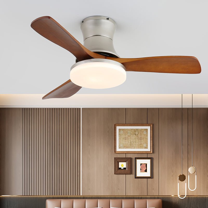 Ventilador de techo Anaolo