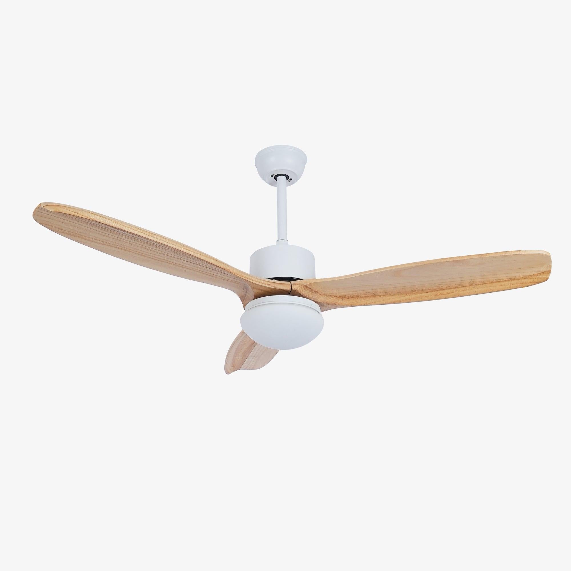 Ventilador de techo Loraevo
