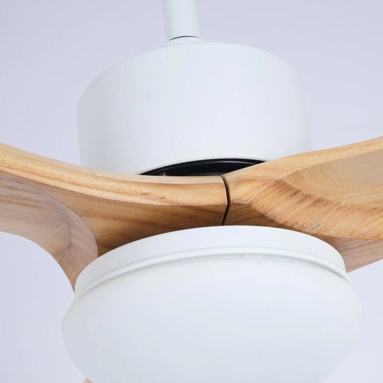 Ventilador de techo Loraevo