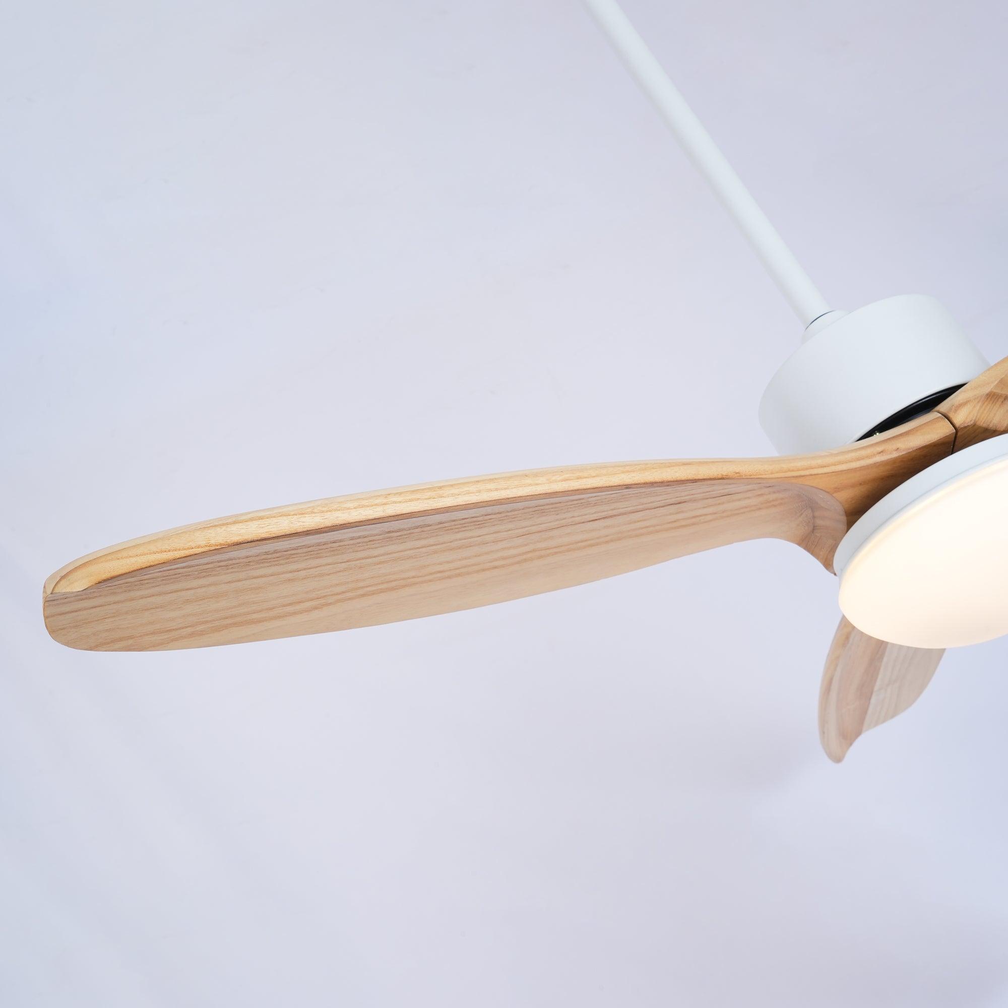 Ventilador de techo Loraevo
