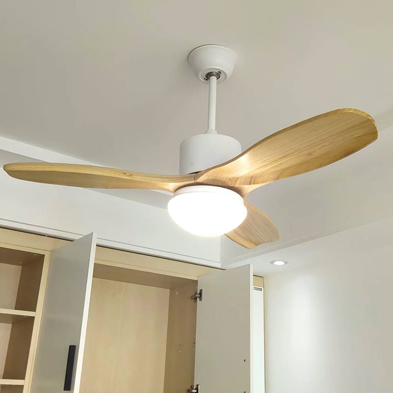 Ventilador de techo Loraevo